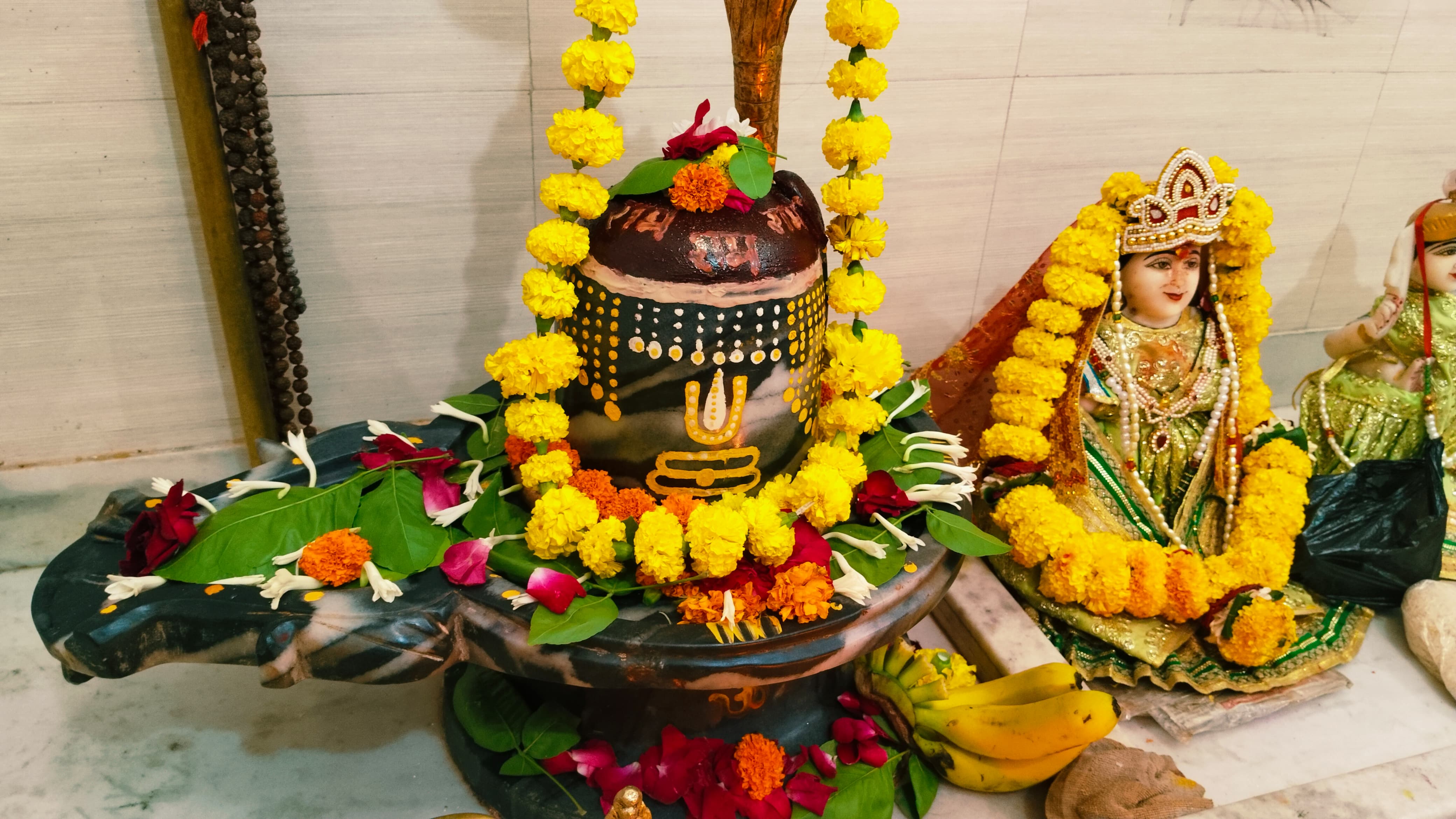 Drishti Enclave Slide